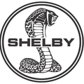shelby1.png