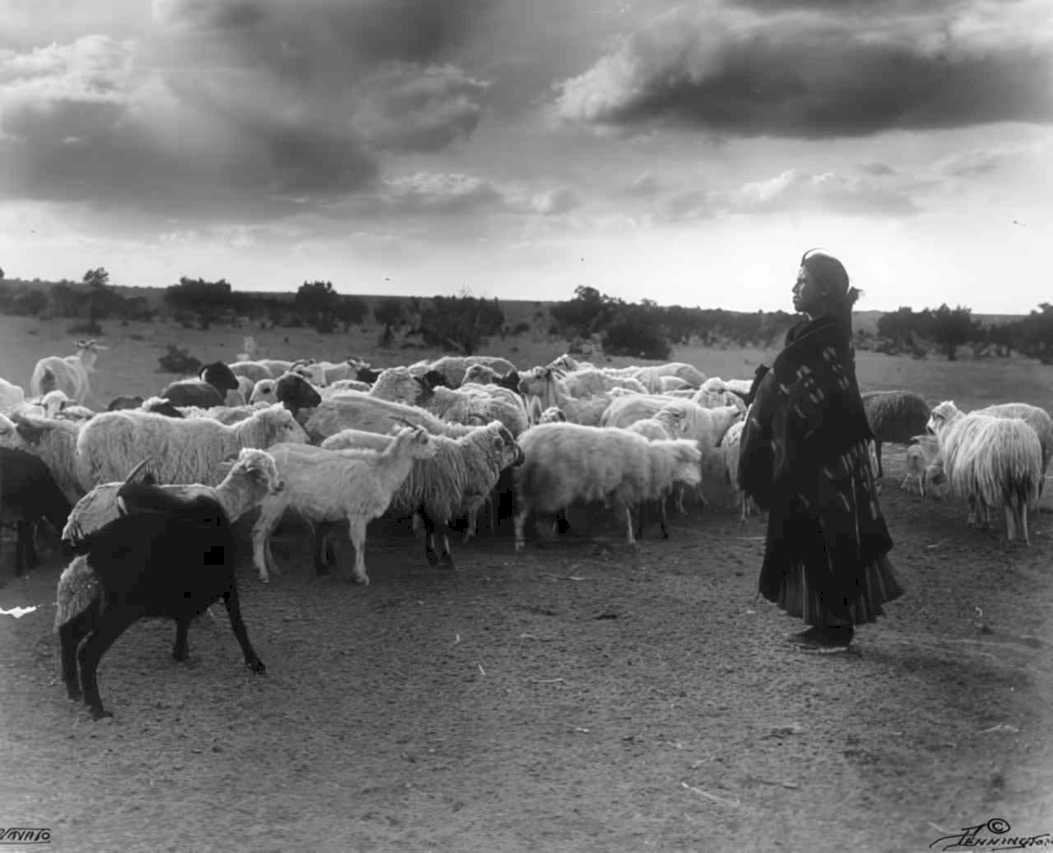shepherd sheep storm Vintage world war A4 Photo Print