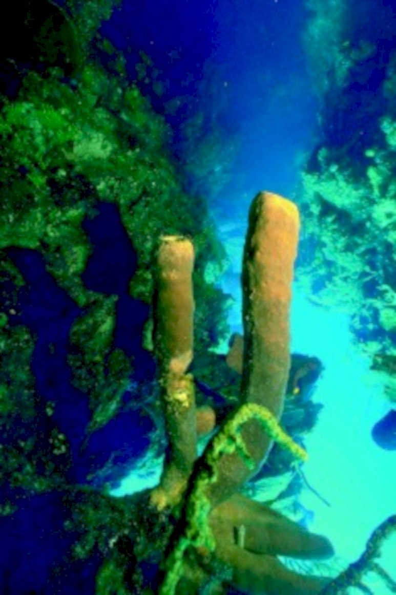 ship wreck blue1980s 1990s A4 Photo Print