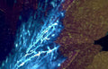 shiphull lightninglichen detail Vintage A4 Photo Print