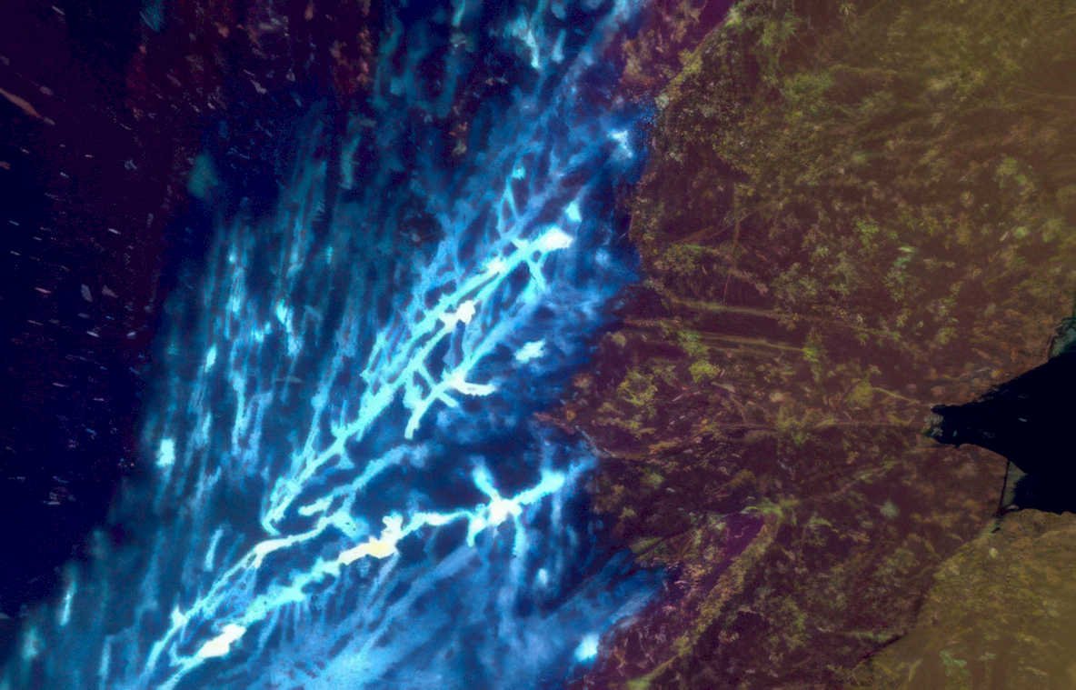 shiphull lightninglichen detail Vintage A4 Photo Print