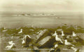 ships lands gannetsVintage 1880s 1900s A4 Photo Print
