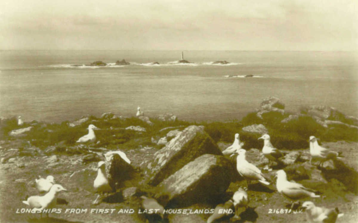 ships lands gannetsVintage 1880s 1900s A4 Photo Print