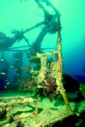 shipwreck coral staircase1980s 1990s A4 Photo Print