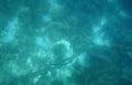 shipwreck turquoise seaweed Vintage A4 Photo Print