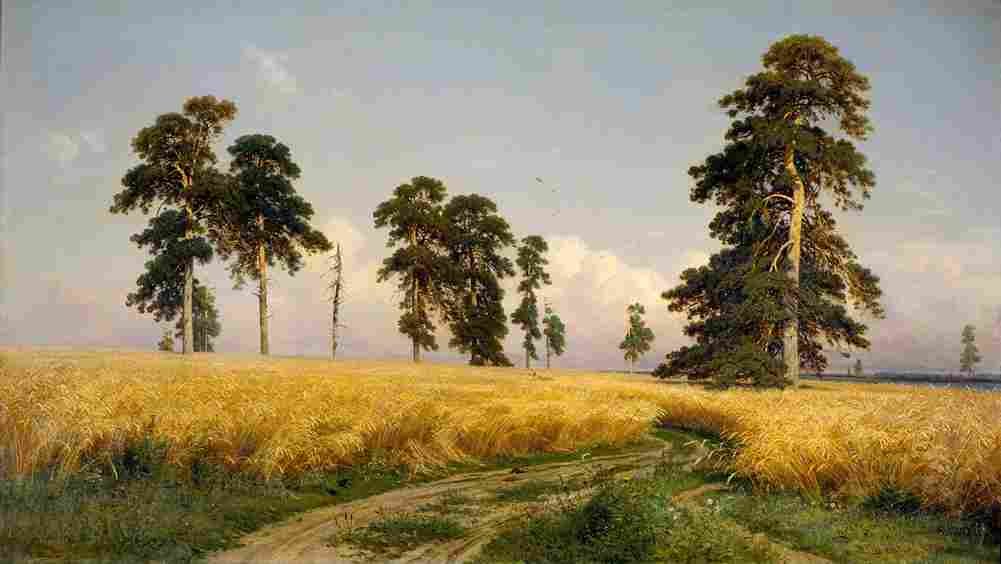 shishkin a rye field Art A4 Photo Print