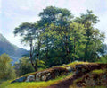 shishkin beech forest in switzerland Art A4 Photo Print