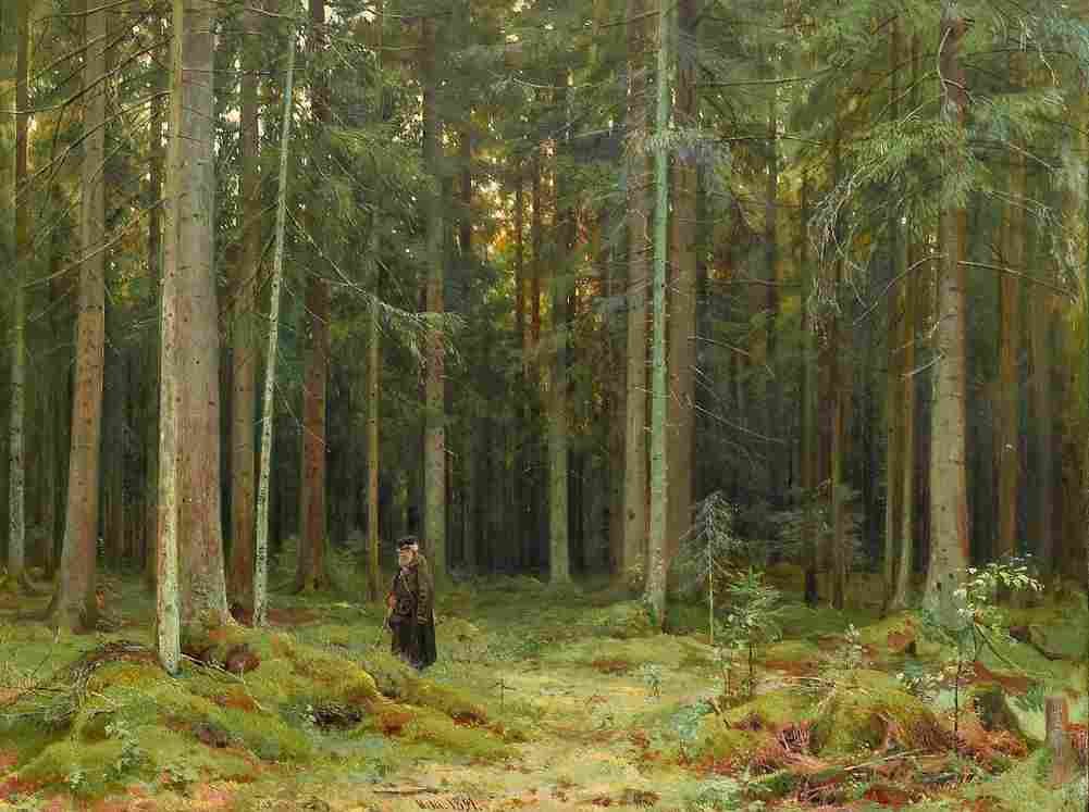 shishkin forest of countess mordvinova Art A4 Photo Print