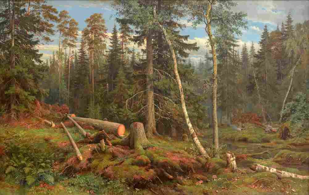 shishkin lumbering Art A4 Photo Print