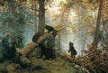 shishkin morning in a pine forest Art A4 Photo Print