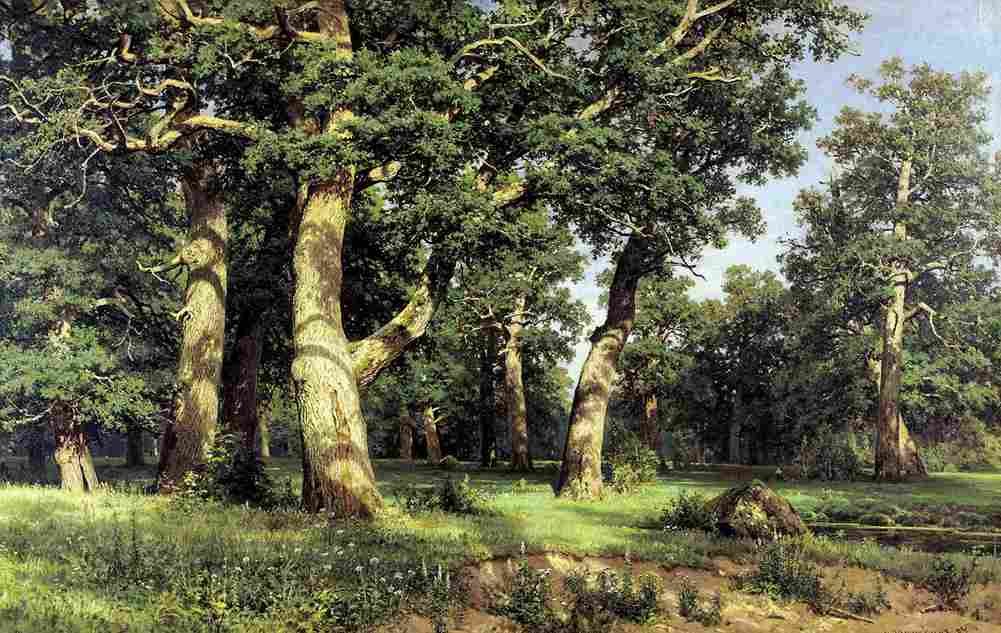 shishkin oak grove Art A4 Photo Print