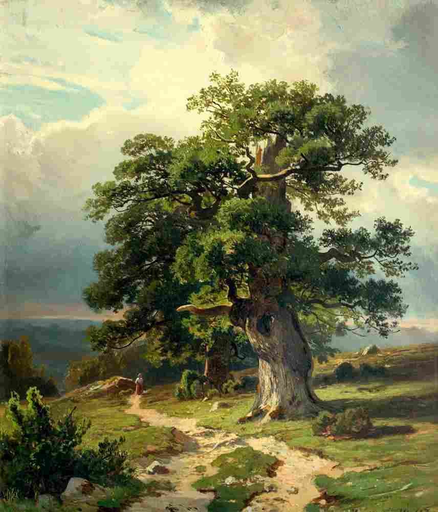 shishkin oaks Art A4 Photo Print
