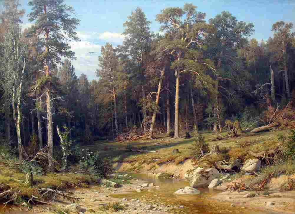 shishkin pine forest Art A4 Photo Print