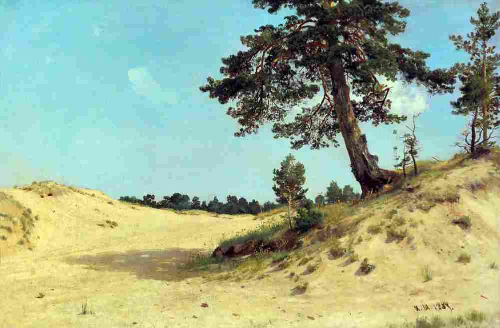 shishkin pine on sand Art A4 Photo Print
