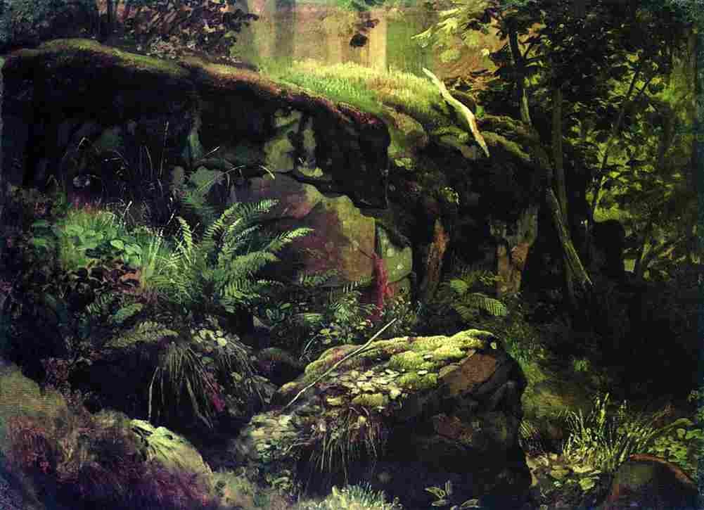 shishkin stones in the forest Art A4 Photo Print