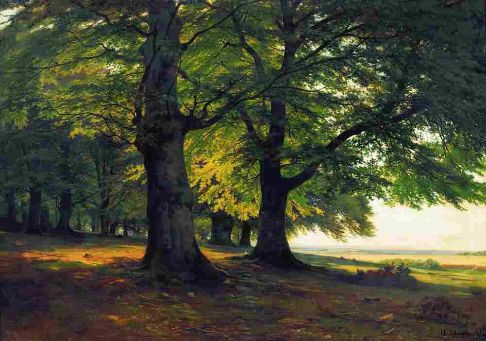 shishkin teutoburg forest Art A4 Photo Print