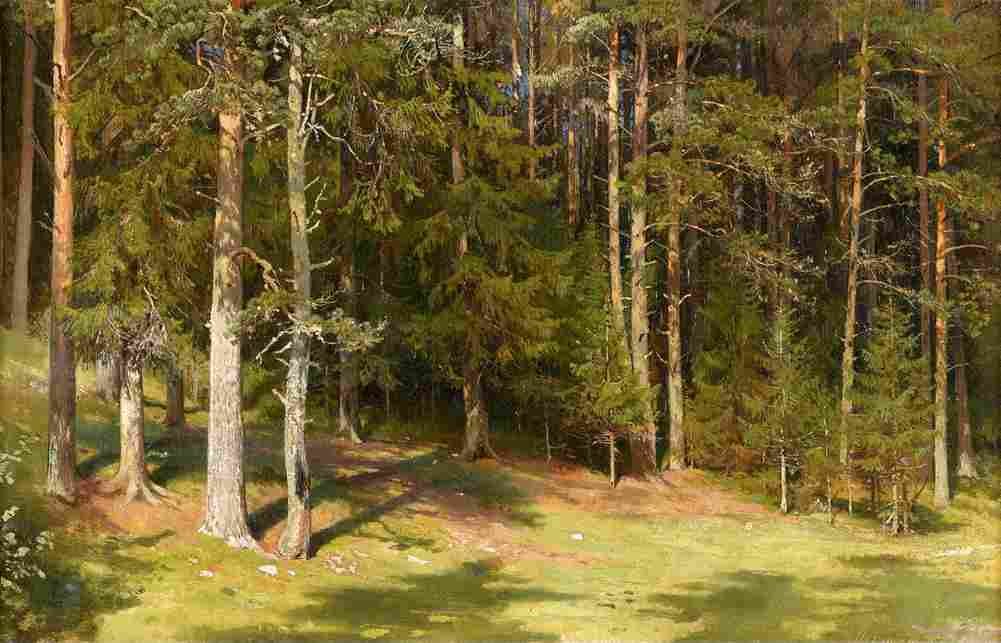 shishkin the clearing Art A4 Photo Print