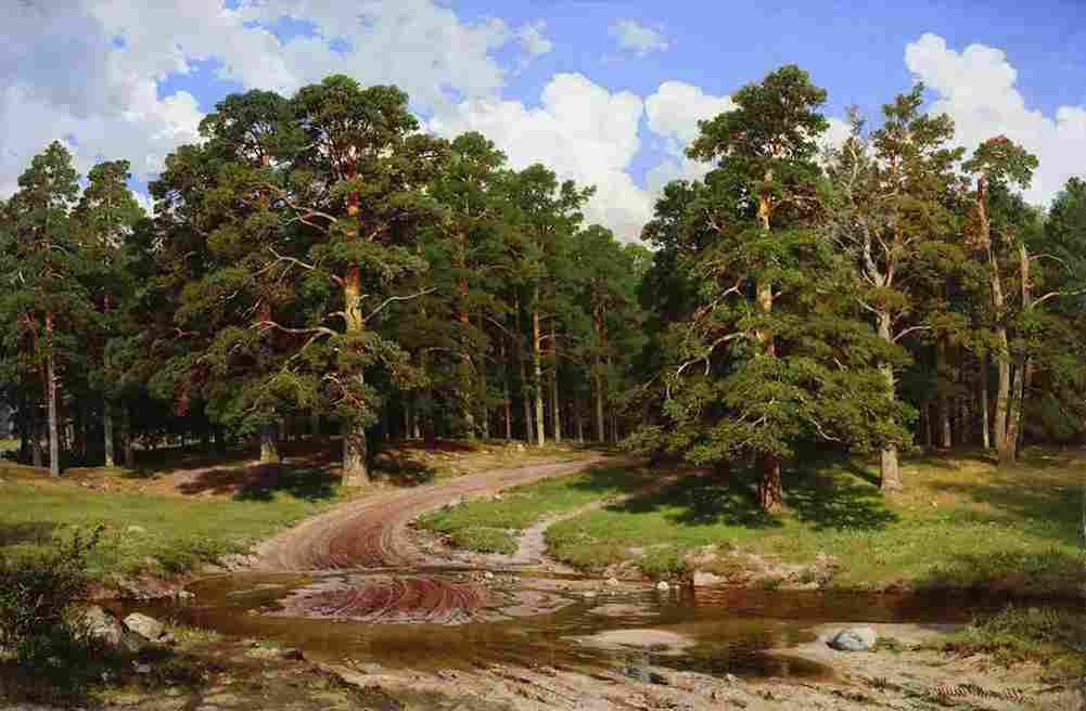 shishkin the pine forest Art A4 Photo Print