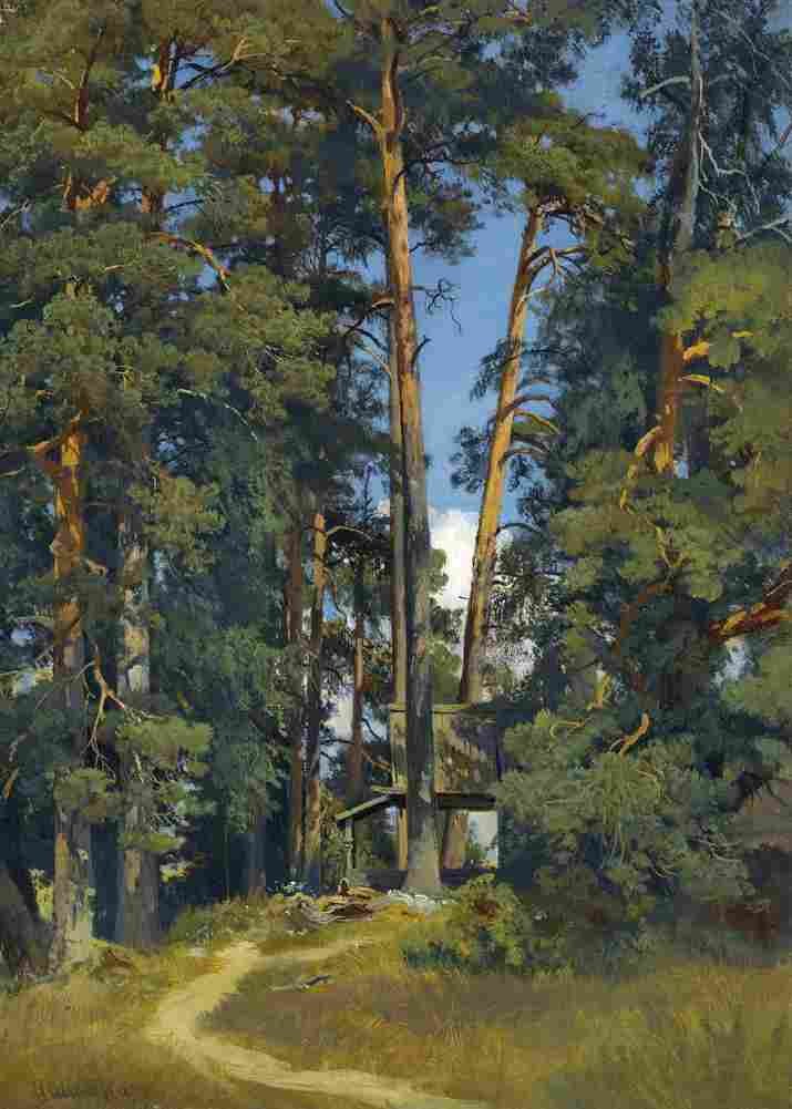 shishkin woodland grove Art A4 Photo Print