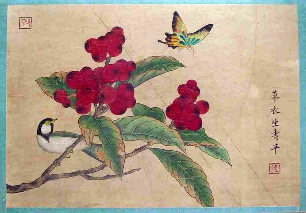 shouping Flowers and Insect Art A4 Photo Print