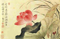shouping Lotus Flower Art A4 Photo Print