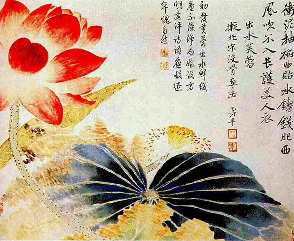 shouping Lotus Flower Breaking the Surface Art A4 Photo Print