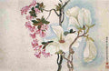 shouping Magnolias Art A4 Photo Print
