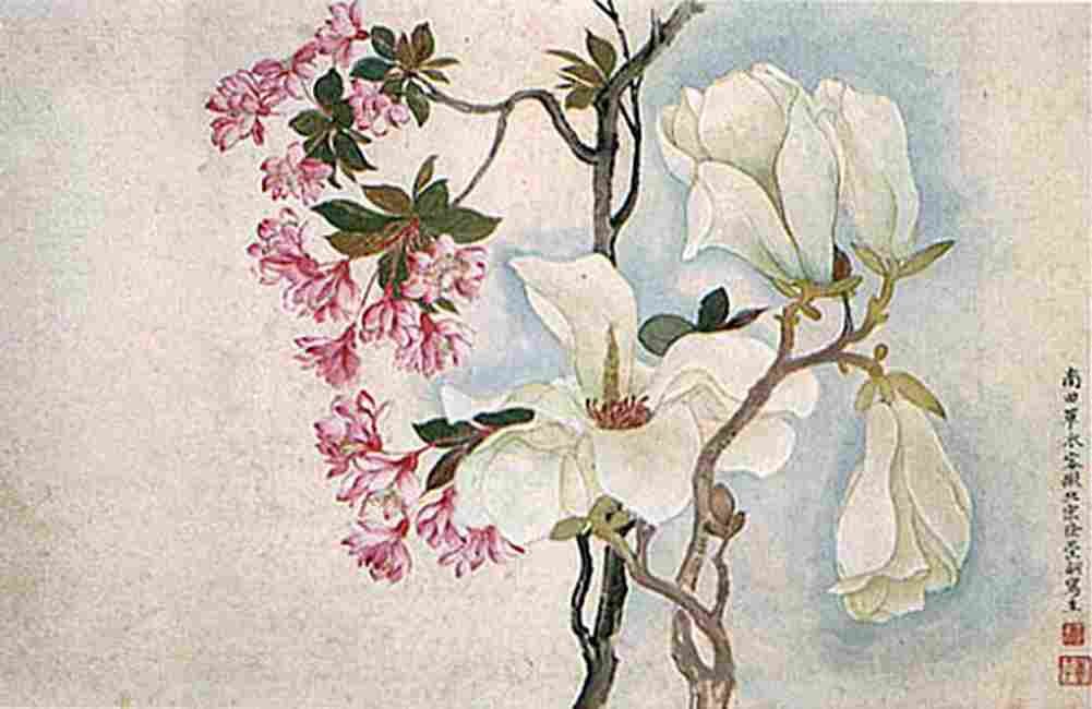 shouping Magnolias Art A4 Photo Print