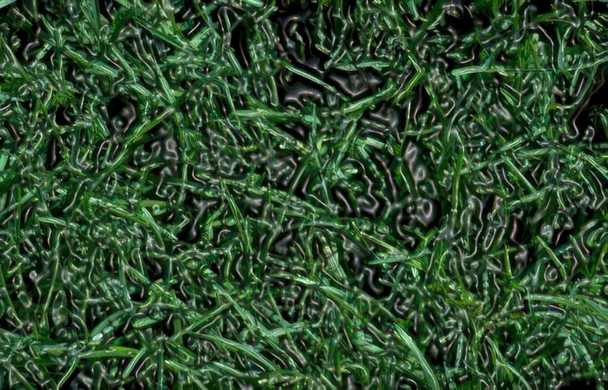 shredded kale
