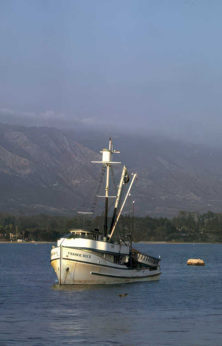 shrimp boat monterey Vintage A4 Photo Print