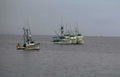 shrimp boats gray Vintage A4 Photo Print