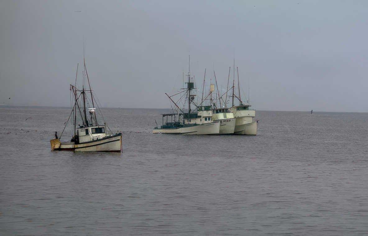 shrimp boats gray Vintage A4 Photo Print