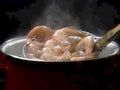 shrimp pot cooked1980s 1990s A4 Photo Print