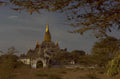 shwezigon pagoda bagan 1 1980s 1990s A4 Photo Print