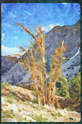 sierra Nevada Mountains 397027 Along Piute Pass Trail A4 Limited Edition Watercolour Print