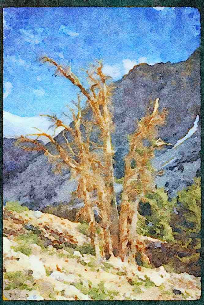 sierra Nevada Mountains 397027 Along Piute Pass Trail A4 Limited Edition Watercolour Print
