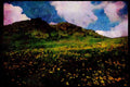 sierra Nevada Mountains 397041 Near Sonora Pass A4 Limited Edition Watercolour Print