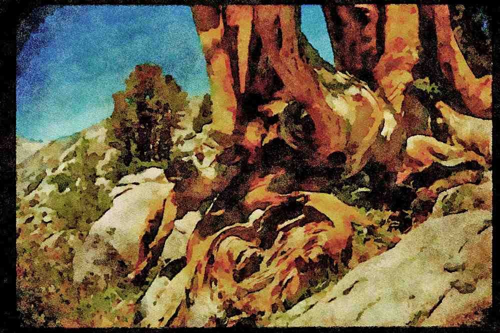 sierra Nevada Mountains 397048 Tree Struck By Lightning Near Piute Pass A4 Limited Edition Watercolour Print