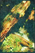 sierra Nevada Mountains 397082 Sierra Garden A4 Limited Edition Watercolour Print