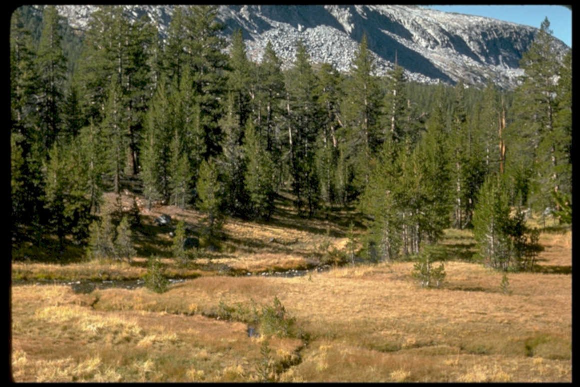 sierra neva peaks1980s 1990s A4 Photo Print
