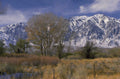 sierra nevada autumn 1980s 1990s A4 Photo Print