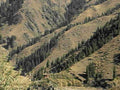 sierra nevada cabin1980s 1990s A4 Photo Print