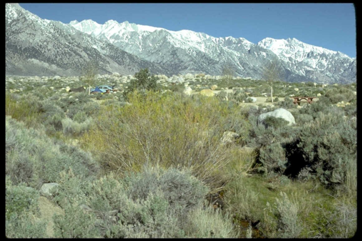 sierra nevada landscape1980s 1990s A4 Photo Print