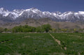 sierra nevada mountains 1980s 1990s A4 Photo Print 42