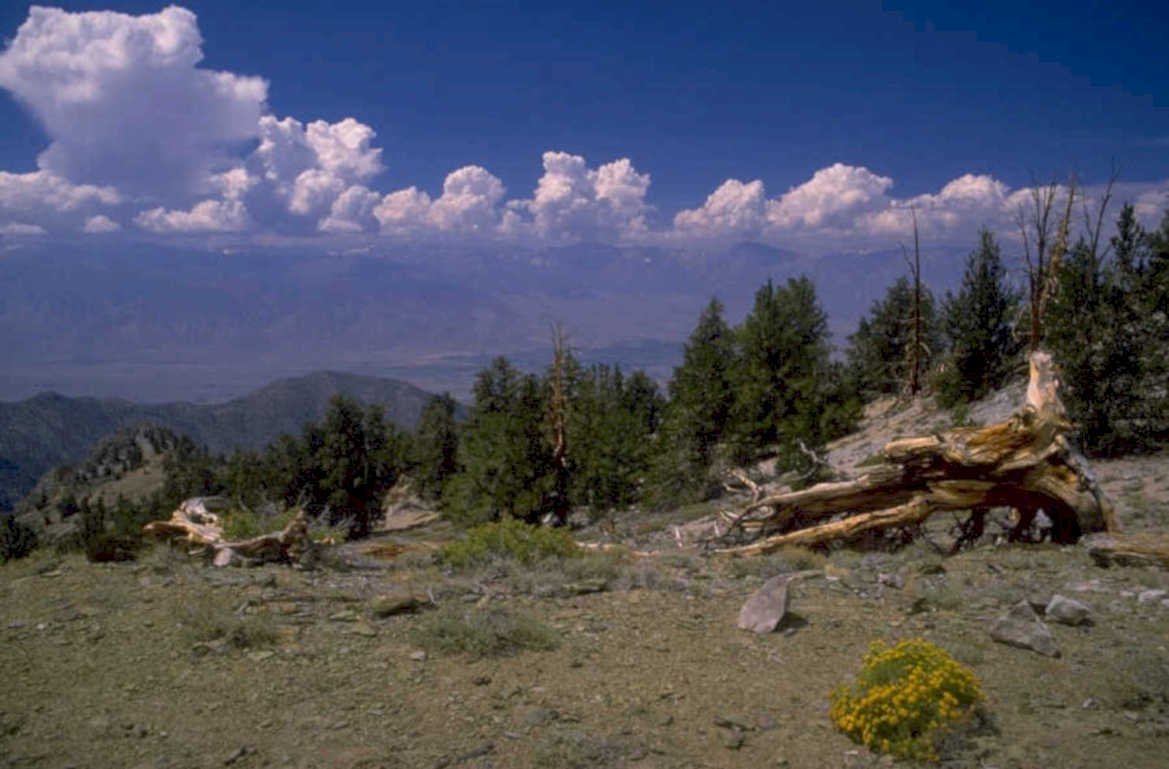 sierra nevada mountains 2 1980s 1990s A4 Photo Print