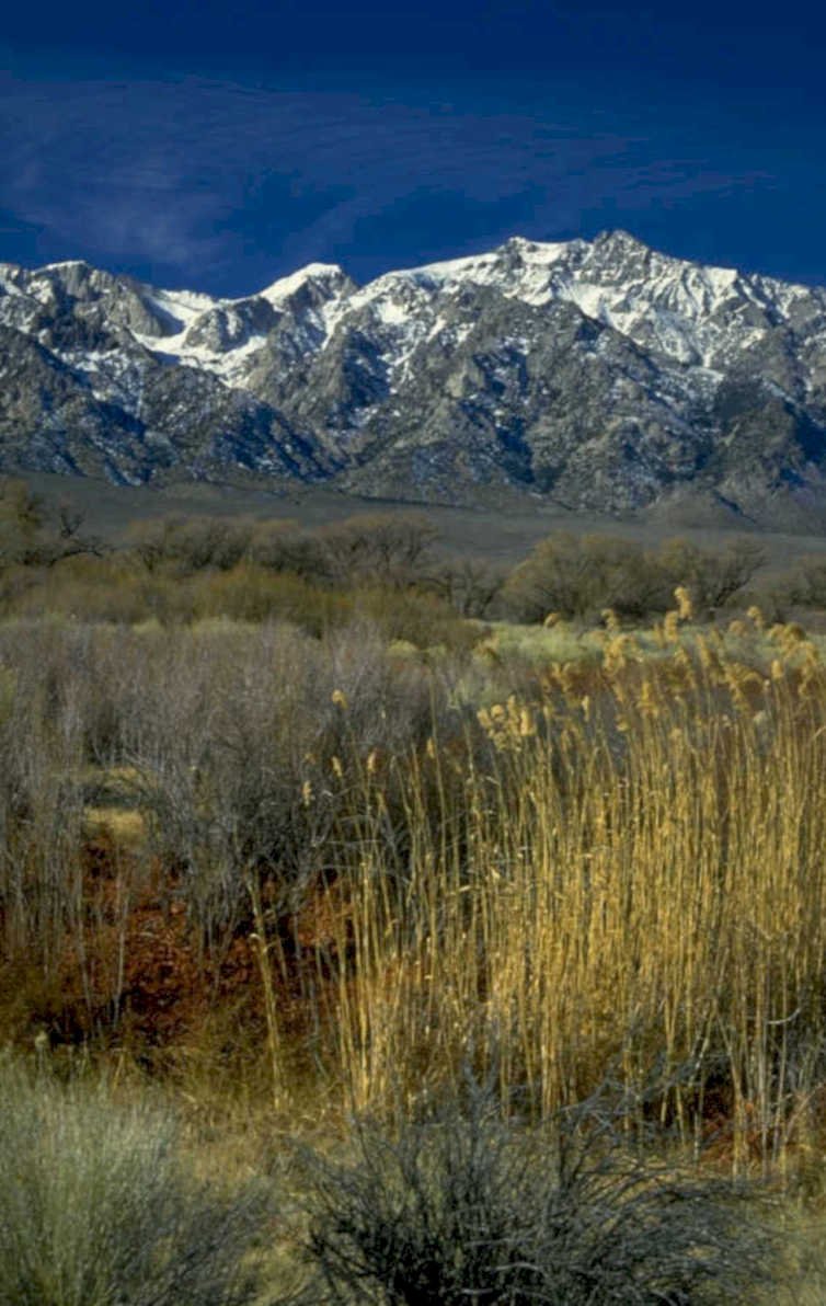 sierra nevada mountains 3 1980s 1990s A4 Photo Print