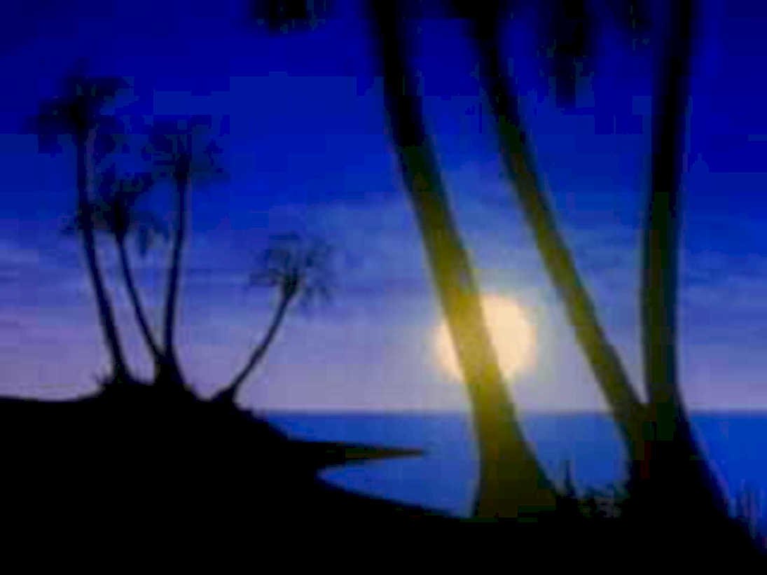 silhouette palm sunset1980s 1990s A4 Photo Print