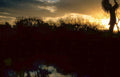 silhouette windmill sunset Vintage A4 Photo Print