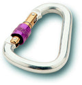 silver carabiner clip1980s 1990s A4 Photo Print