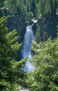 silver creek falls Vintage A4 Photo Print